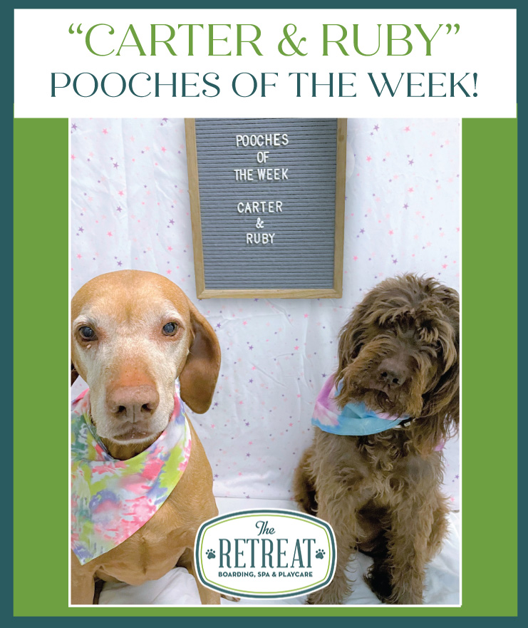 Meet Carter & Ruby , Our Pooches of the Week