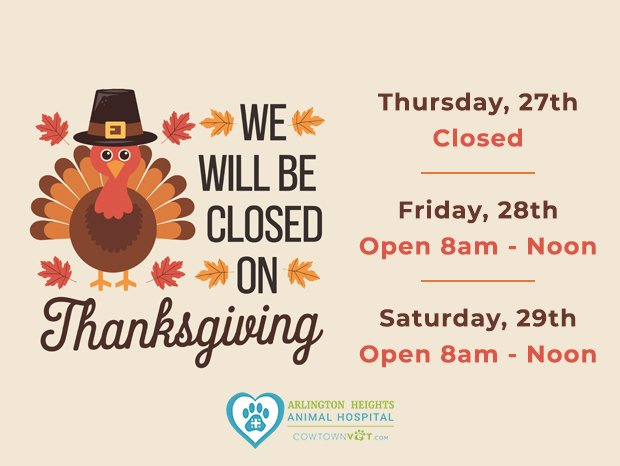 Thanksgiving Holiday Hours