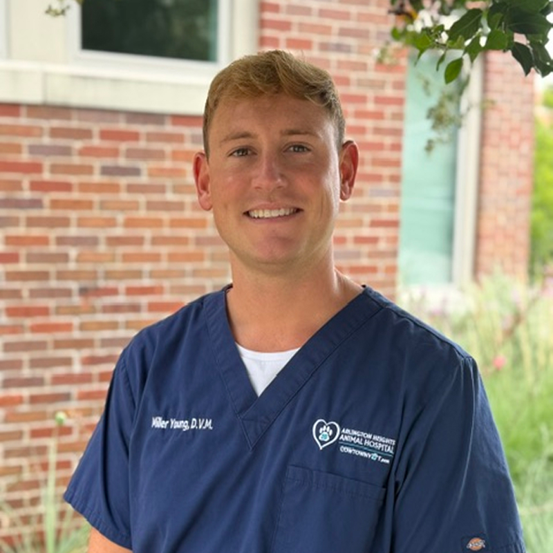 Dr. Miller Young