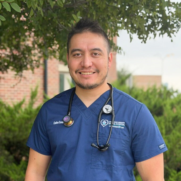 Dr. Dominguez