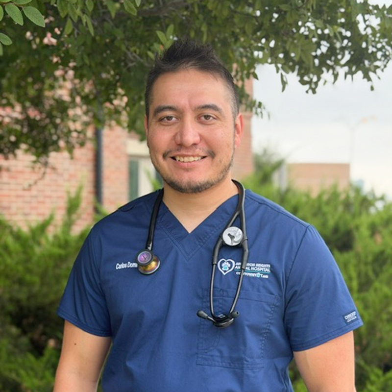 Dr. Dominguez